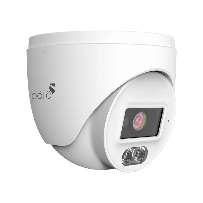2 Megapixel Dual-Light Network Dome Camera (PLC 432P AU DL3 PM) — product view 6